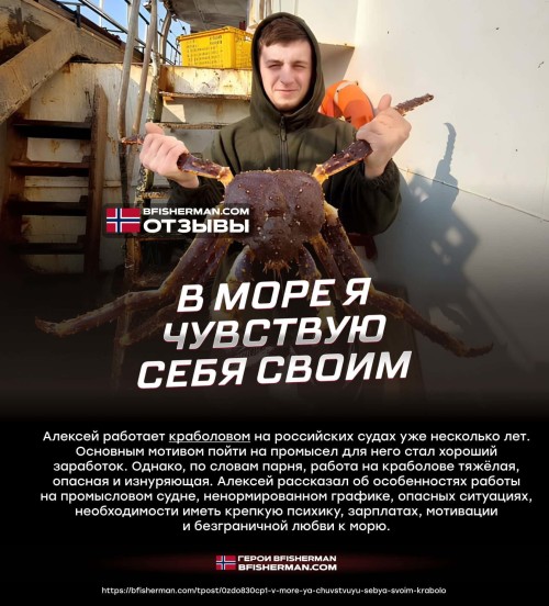 BFISHERMAN ОТЗЫВЫ