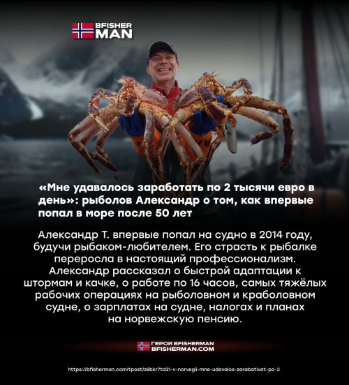 bfishg_809849.jpeg