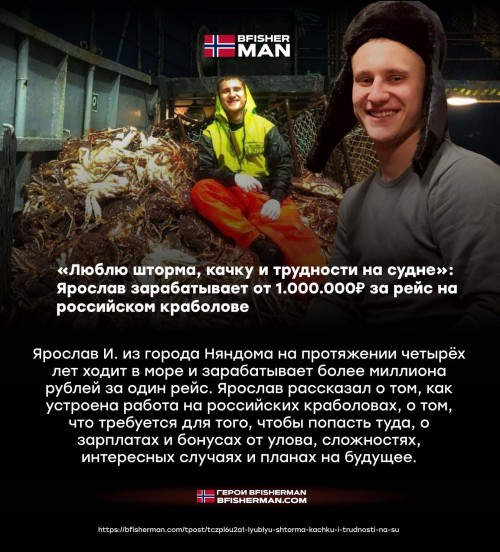 bfishg_816159.jpeg