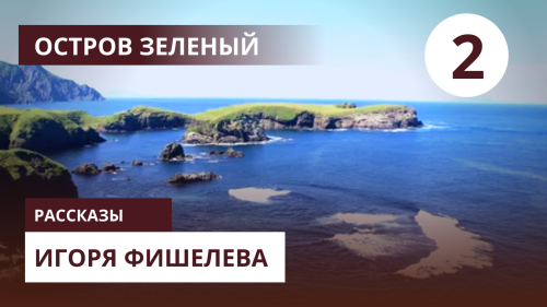 Igor_Fishelev_zelenyi_2.png