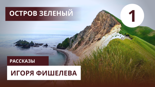 Igor_Fishelev_zelenyi_1.png