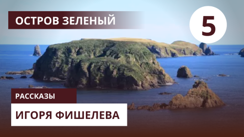 Igor_Fishelev_zelenyi_5.png